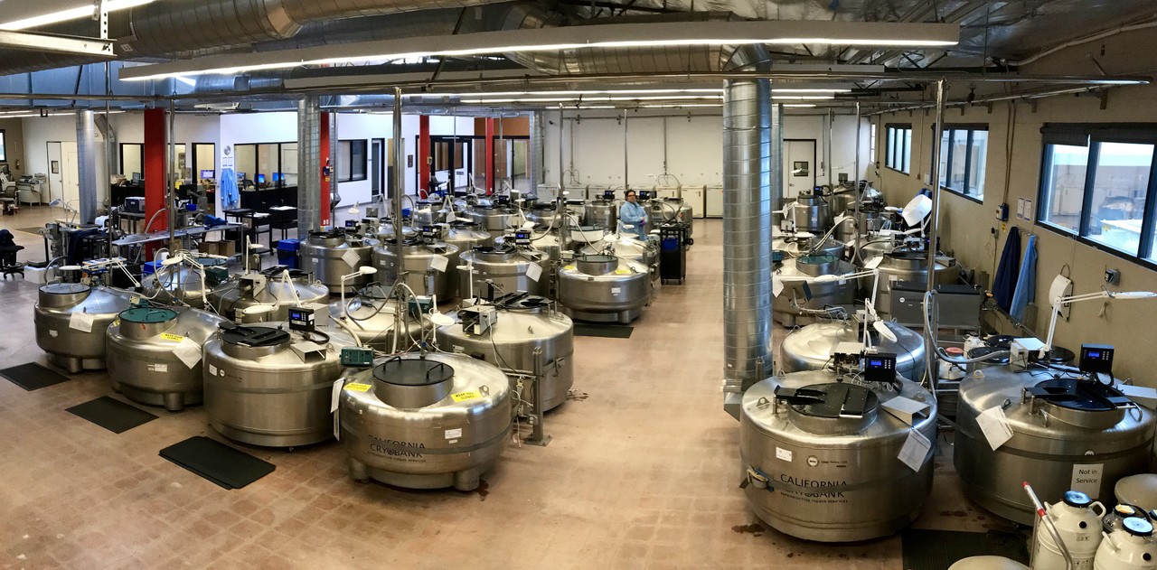 氣相存儲 氣相存儲