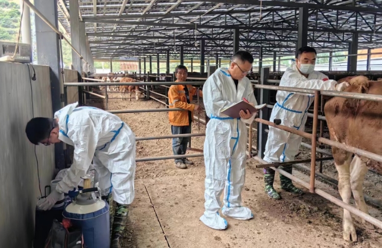 牛育種專用液氮罐 牛育種專用液氮罐