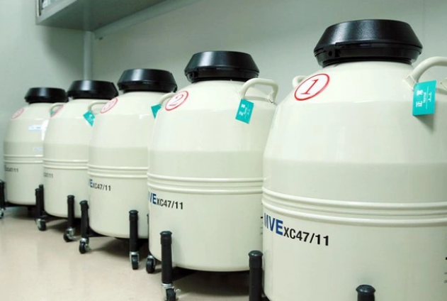 進(jìn)口液氮罐 進(jìn)口液氮罐